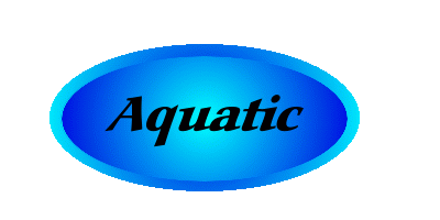 Aquatic charms