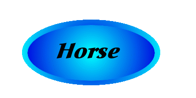 Horse charms